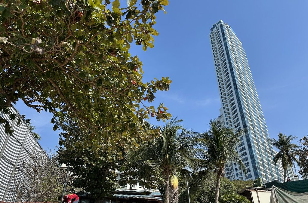 Vue de l'emplacement prévu pour Riviera Palm Beach à Wongamat, projet immobilier à Pattaya acheté pour 12 millions de bahts